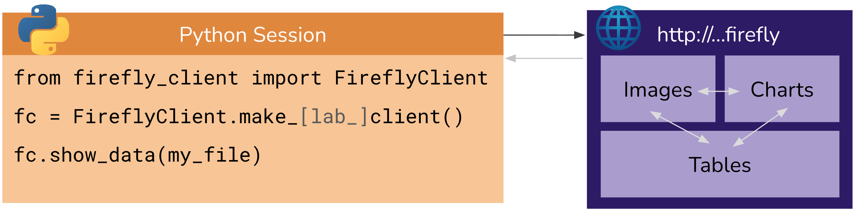 Firefly in Python Flow Diagram